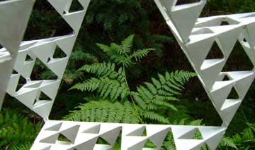 Several stages of growth of a fern viewed through a stage-4 Sierpinski tetrahedron, taken on Kachina Trail outside Flagstaff, Arizona, USA, ~8,500 ft. elevation, August 26, 2006.