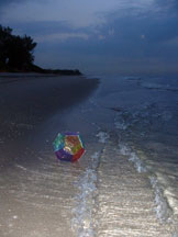 Not only do ocean waves have natural fractal properties, the edge of the water forms a fractal coastline in the sand.