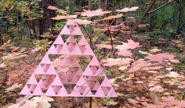 Stage-3 (count the number of sizes of openings) with turning Maple leaves in Oak Creek Canyon outside Sedona, Arizona, USA, Autumn 2002.